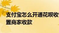 支付宝怎么开通花呗收钱功能 手把手教你设置商家收款